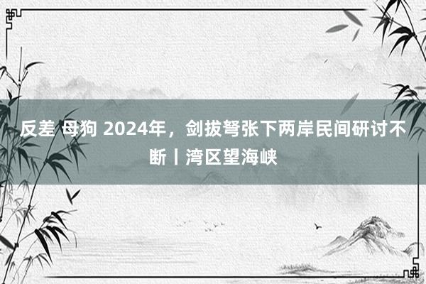 反差 母狗 2024年，剑拔弩张下两岸民间研讨不断丨湾区望海峡