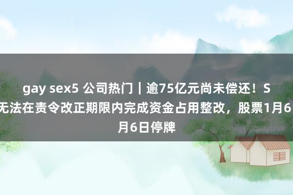 gay sex5 公司热门｜逾75亿元尚未偿还！ST旭蓝无法在责令改正期限内完成资金占用整改，股票1月6日停牌