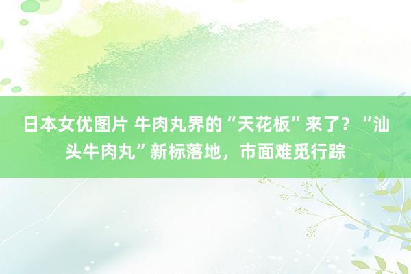 日本女优图片 牛肉丸界的“天花板”来了？“汕头牛肉丸”新标落地，市面难觅行踪