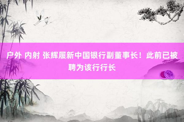 户外 内射 张辉履新中国银行副董事长！此前已被聘为该行行长