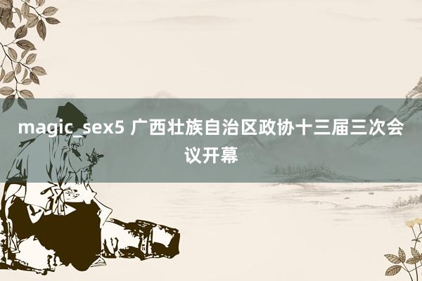 magic_sex5 广西壮族自治区政协十三届三次会议开幕