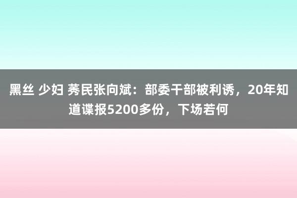 黑丝 少妇 莠民张向斌：部委干部被利诱，20年知道谍报5200多份，下场若何